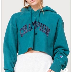 Champion Vintage Wash Reverse Weave Crop Hoodie